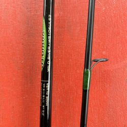 Fishing Rod