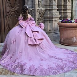 Quinceanera dress New Condition.