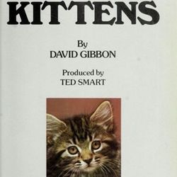 Vintage Kittens Cat Illustrated Book David Gibbon