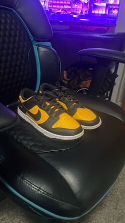 Nike Dunks Size 10
