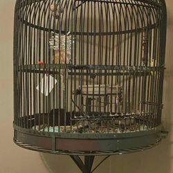 Antique Steel Parrot Cage.