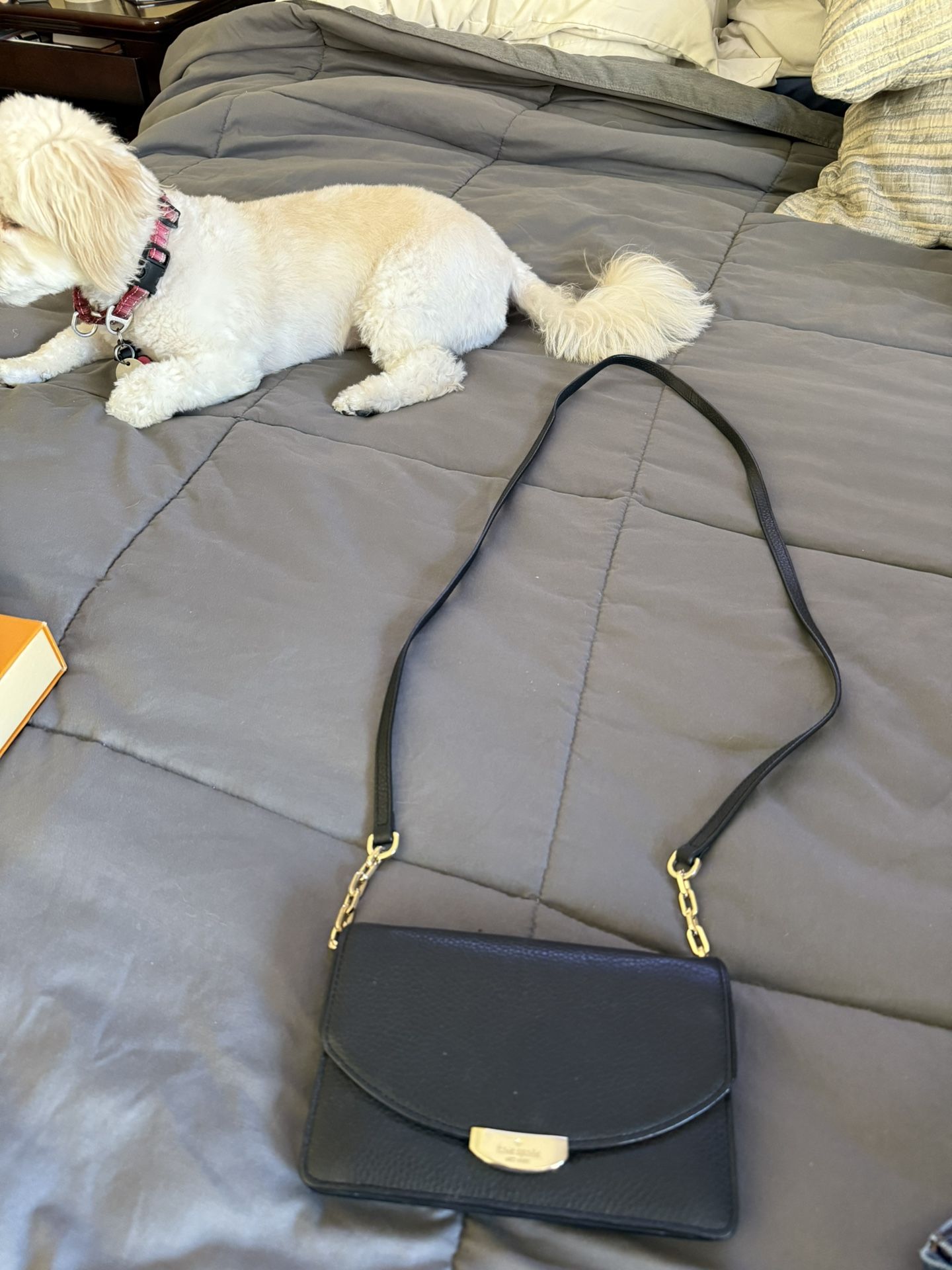 Kate Spade Crossbody Wallet