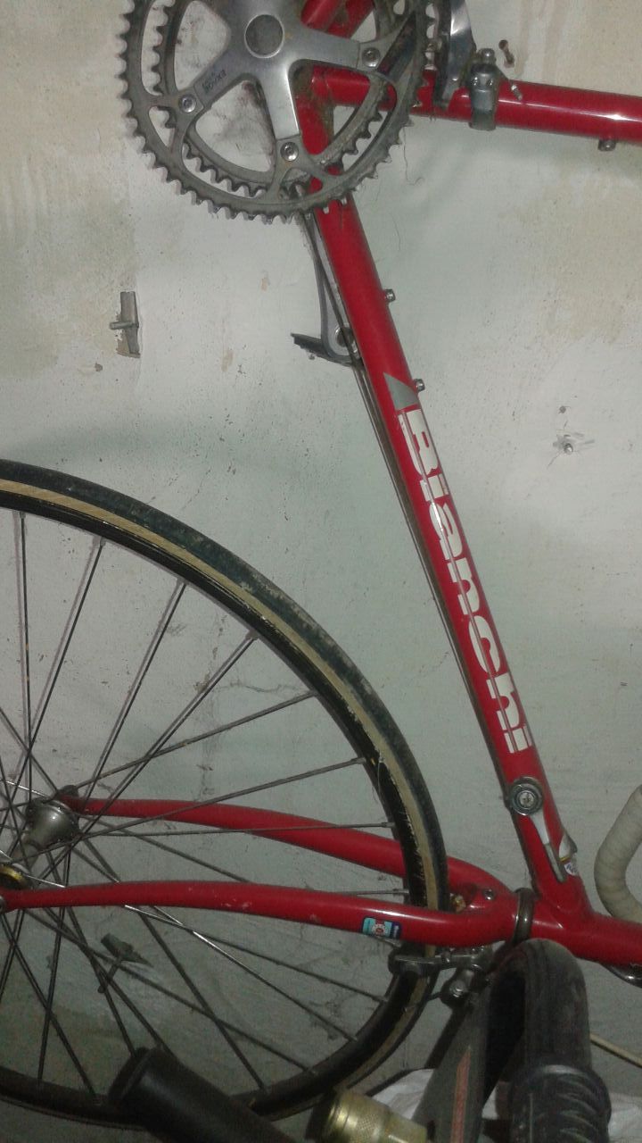 Professional bike BIANCHI Brand (italia)