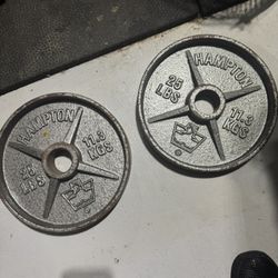 Weight Barbels  In Pairs