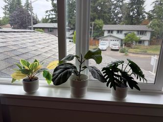 Faux plants