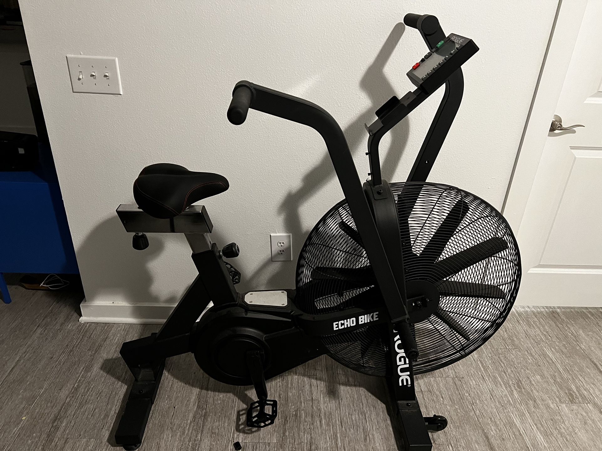 Rogue Echo Bike