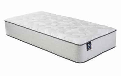 Twin Sealy Mattresses – $100 Each