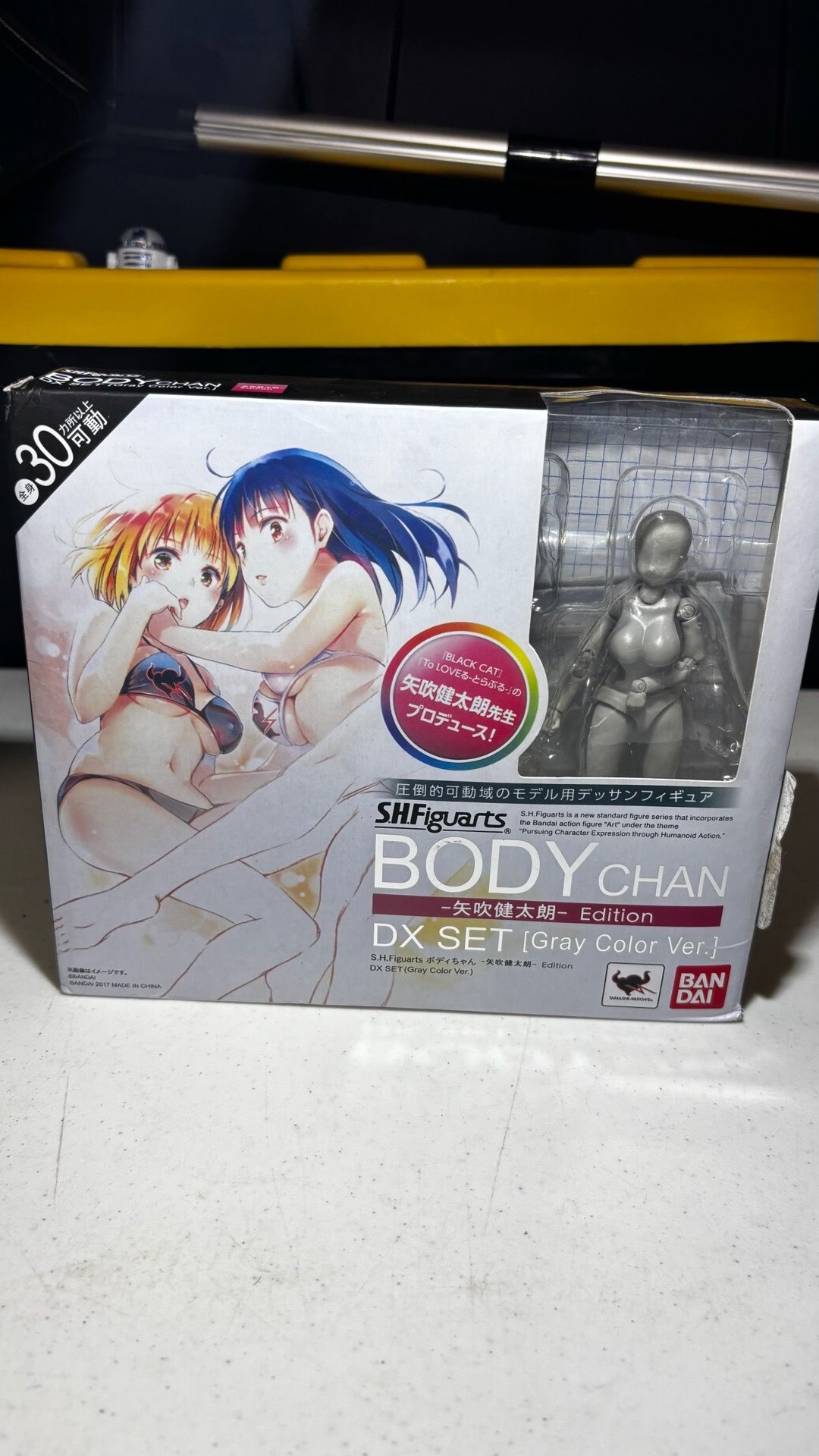 Body Chan DX Set