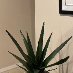 Fake Vera Aloe Plant 