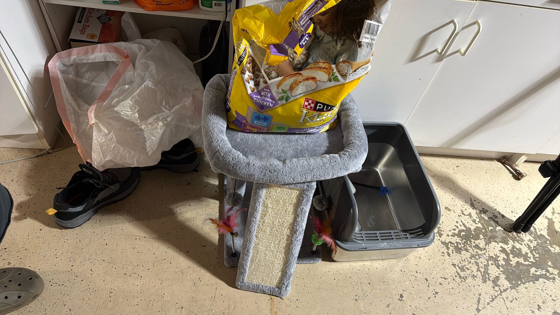 Cat Litter, Cat Tree, And Cat Food