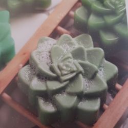 Brambleberry Succulent Soap Kit