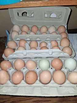 Chicken eggs