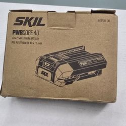 Skil Lithium-Ion Battery 