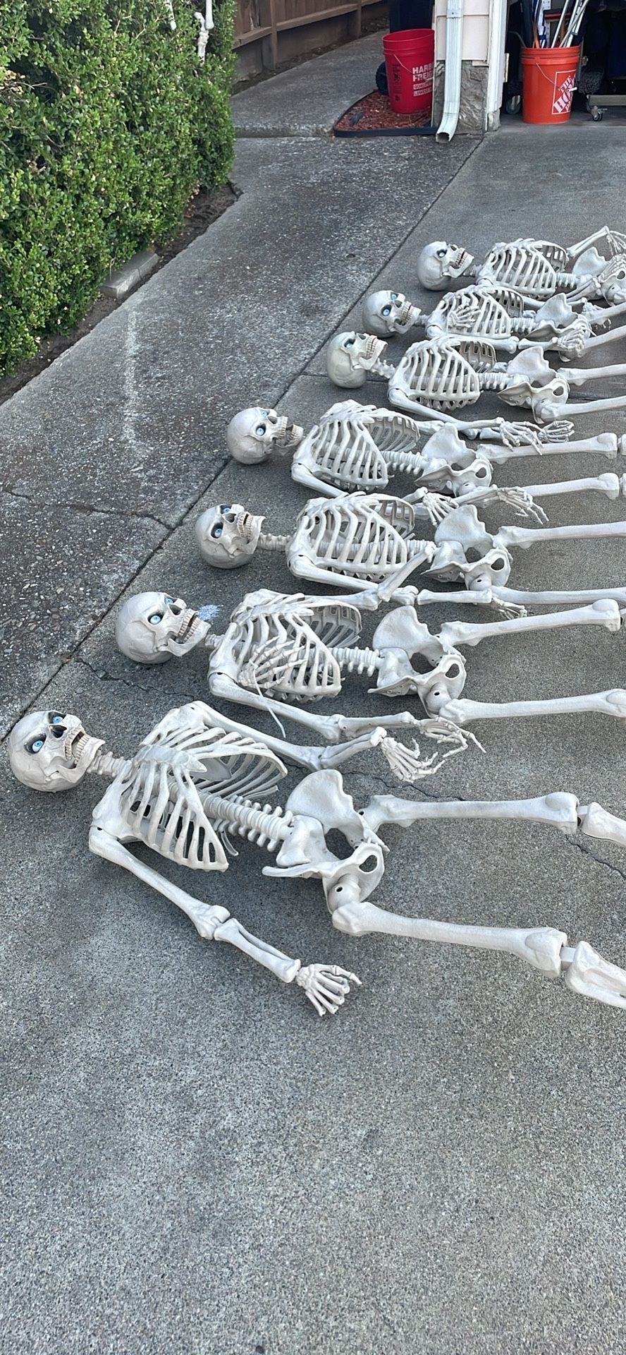 Halloween decorations