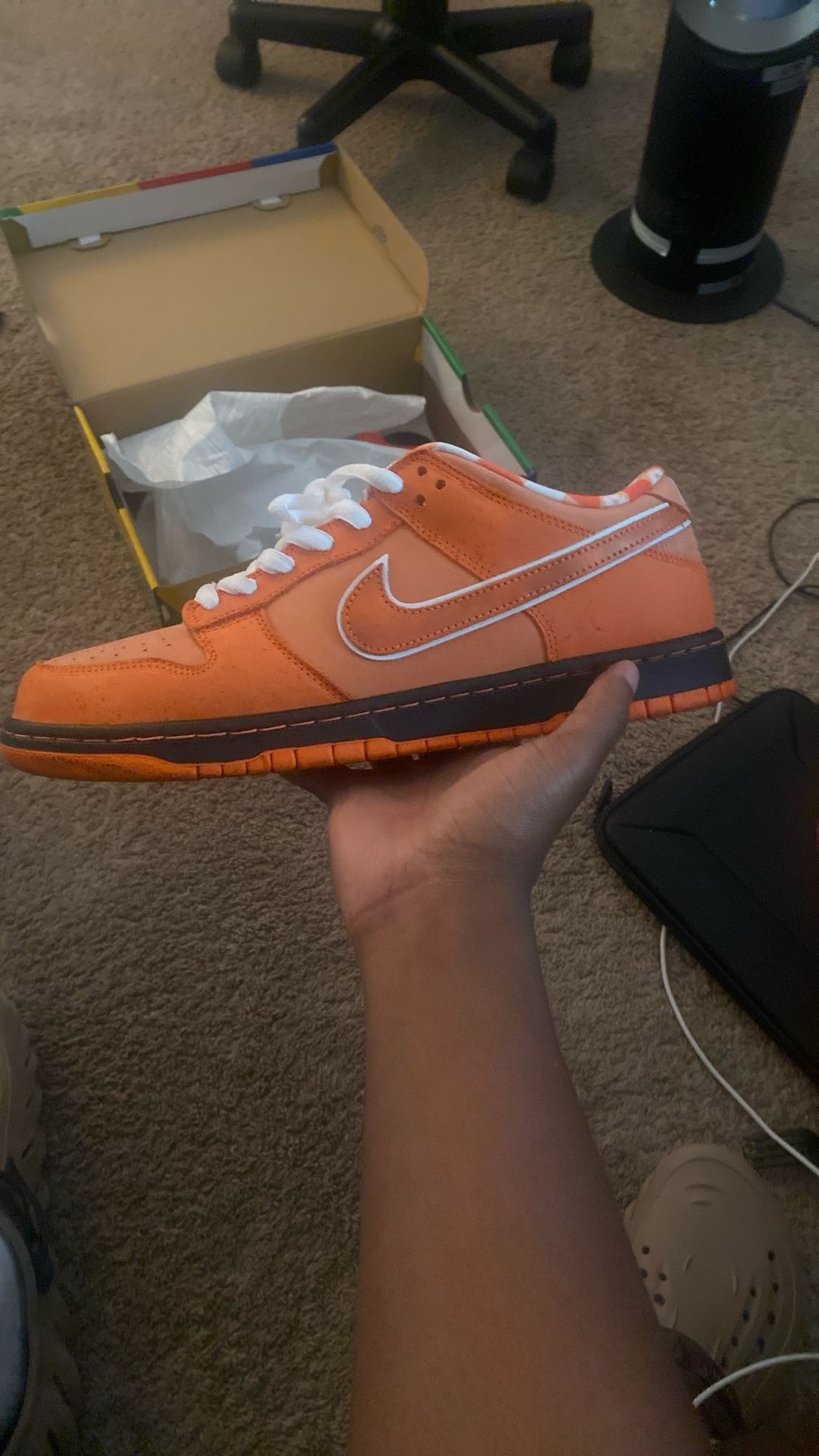 Nike Sb Orange Lobster