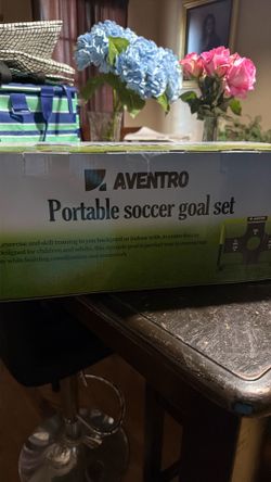 Portable Soccer goal set