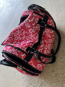 Pet Travel Carrier