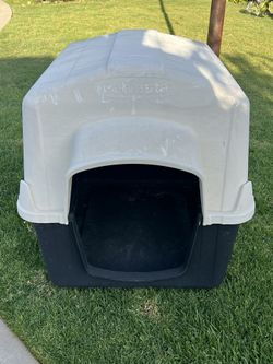 Large Dog House