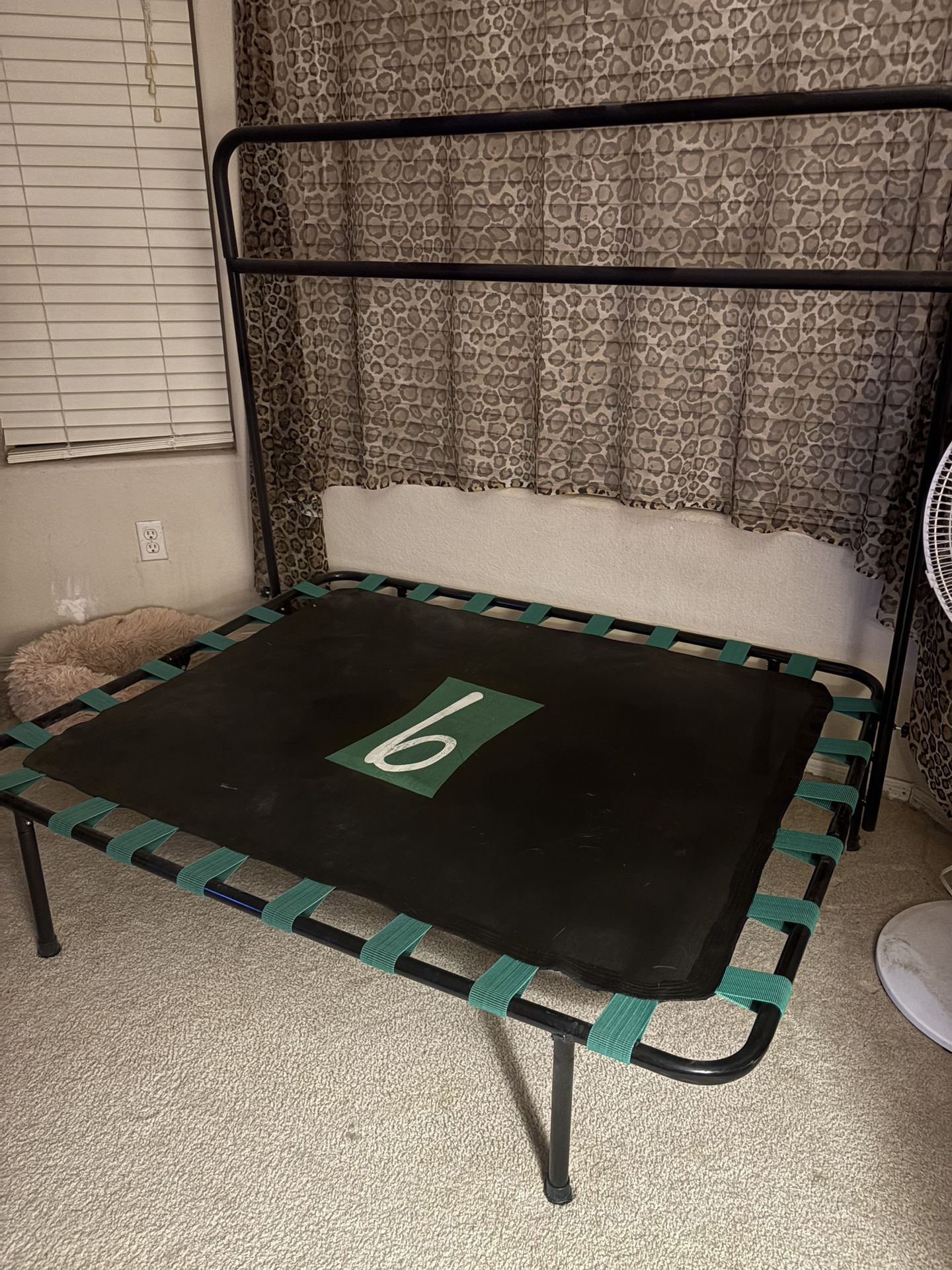 Exercise Trqmpoline