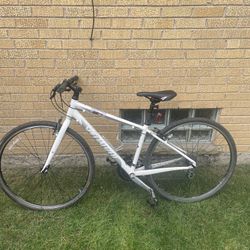 Fast Bike 