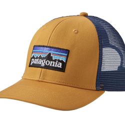 Patagonia Trucker Hat 