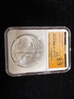 2025-(P) American Silver Eagle (Eagle Privy) MS-9.9 NGC