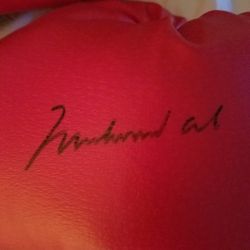 Autographed boxing gloves