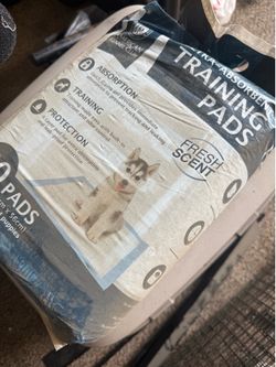 Cat Box with training pads - near BC