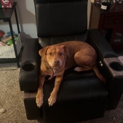 Movie Theater Recliner