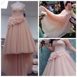 Blush Vera Wang wedding dress