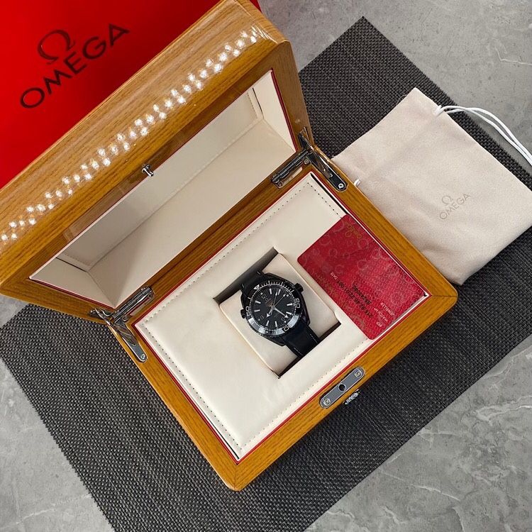 Seahorse chronograph watch