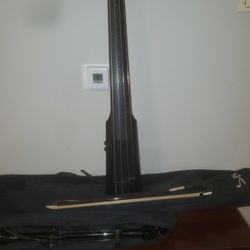 NS Design WAV 4-string Electric Upright Bass - Black
