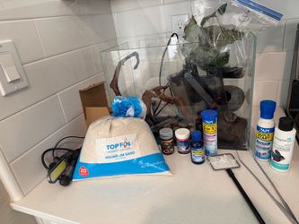 Full Betta Tank Set Up