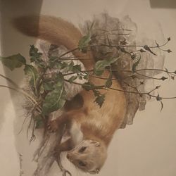 Pop Goes The Weasel Print