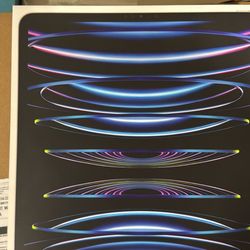 Apple iPad Pro 6th Gen 12.9 Inch