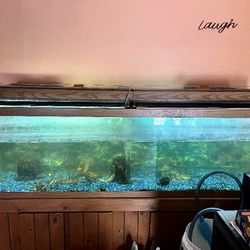 Fish Tank and Chair Coat Rack