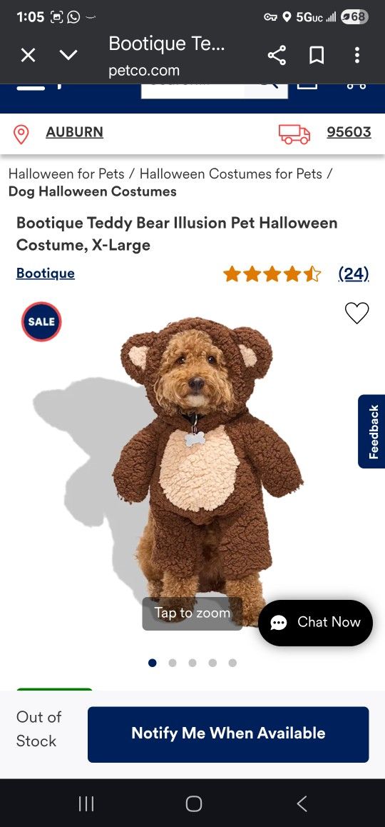 Bear Dog Costume