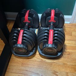 Bowflex Adjustable Dumbbell Set