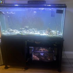 75 Gallon Saltwater Tank Whole Kit