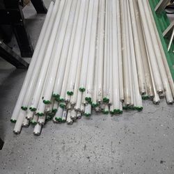 4ft Florescent Bulbs 