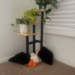 Plants Stand 