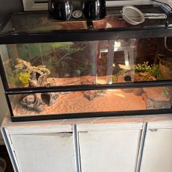 Reptile Tank