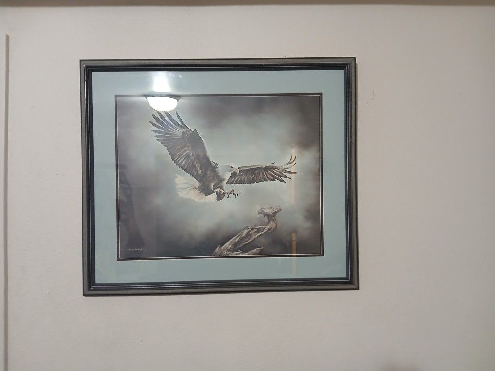 Framed Prints