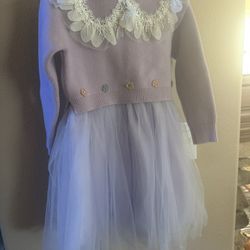 Purple Dress With Tulle Skirt.