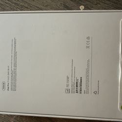 iPad Pro 11 Inch 256