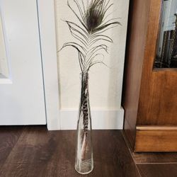 natural peacock tail tip feather in the vase 21" 
