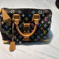 Louis Vuitton Multicolor Speedy 30 Authentic 