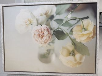 Framed canvas art
