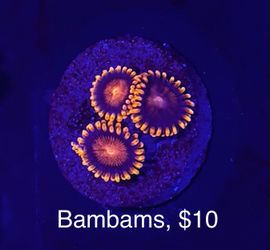 Fake Aquarium Decoration