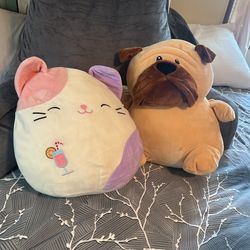 Cat Squishmallow Along with a Stuffed dog 